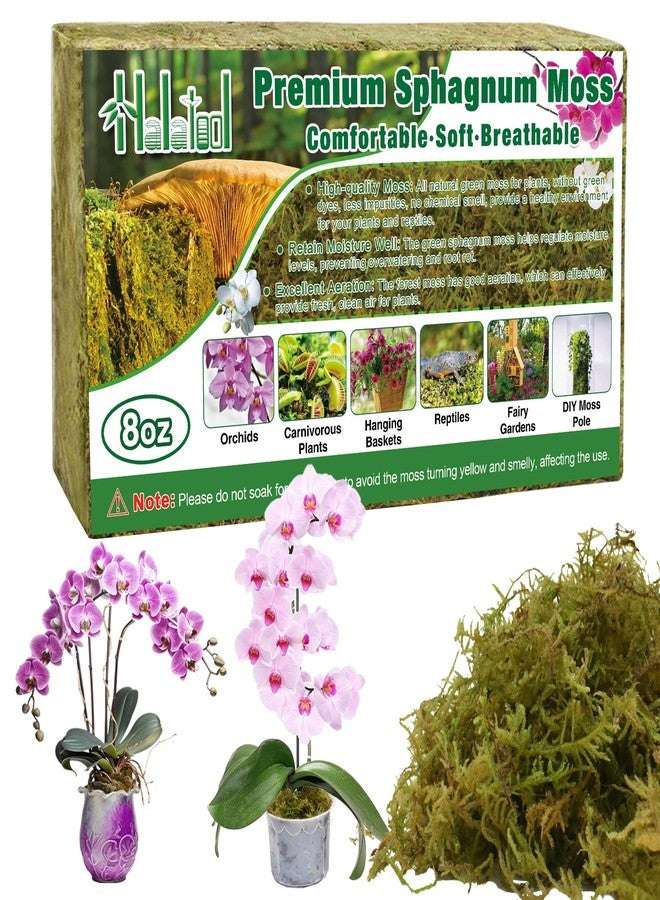 Halatool Orchid Potting Soil for Plants (226g) - Image 1