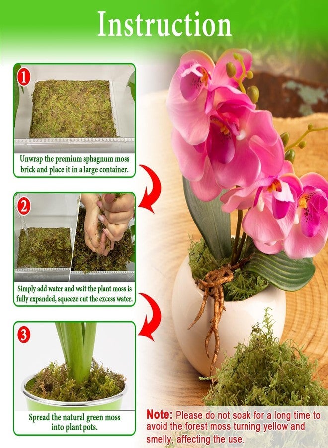 Halatool Orchid Potting Soil for Plants (226g) - Image 4
