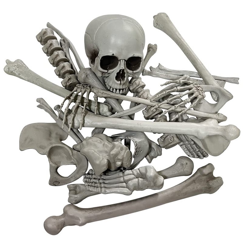 Wocst Halloween Skeleton Bones Realistic Looking Skulls Human Skeleton For Halloween Scary Graveyard Haunted House Lawn Yard Decorations28 pieces - Image 2