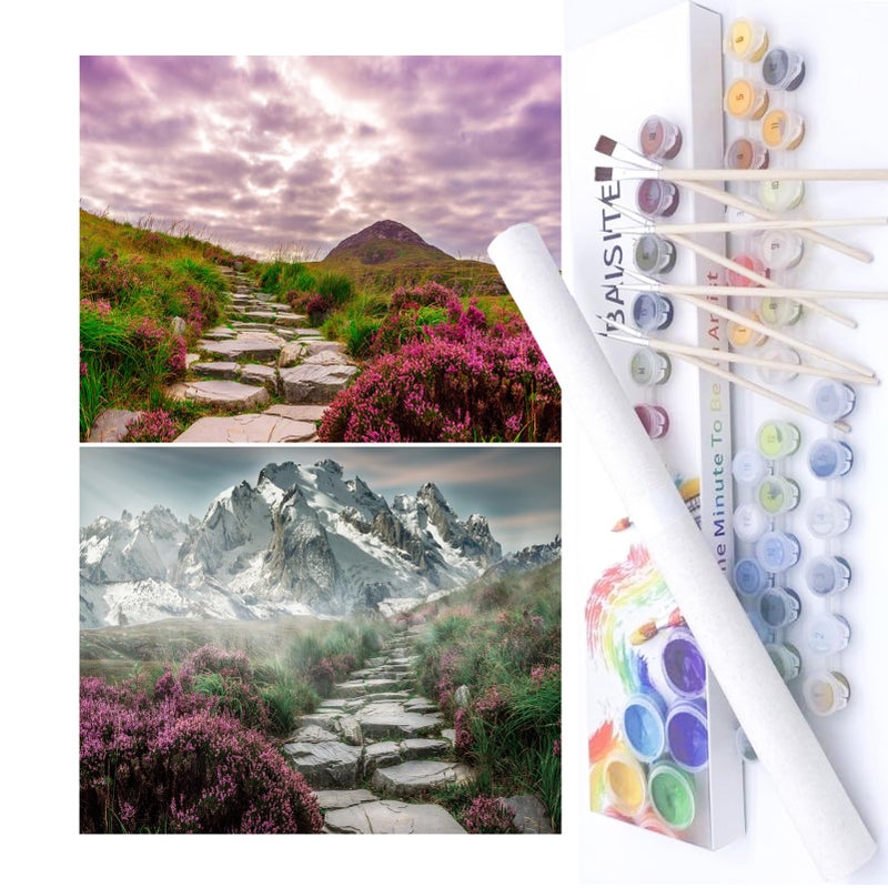 BAISITE Paint by Numbers Kit for Adults Beginners,16" Wx12 L 2 Pack Canvas for Painting Kits for Adults in Colorful Box-BAIPBN655-656 - Image 1