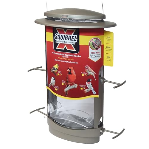 More Birds X-1 Squirrel-Proof Bird Feeder with 4.2-Pound Bird Seed Capacity and Four Feeding Ports - Image 1