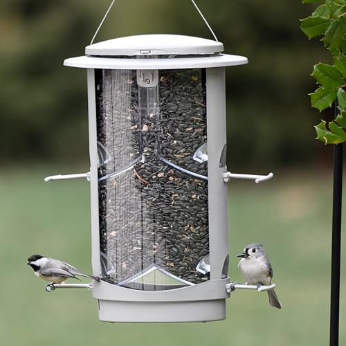 More Birds X-1 Squirrel-Proof Bird Feeder with 4.2-Pound Bird Seed Capacity and Four Feeding Ports - Image 4
