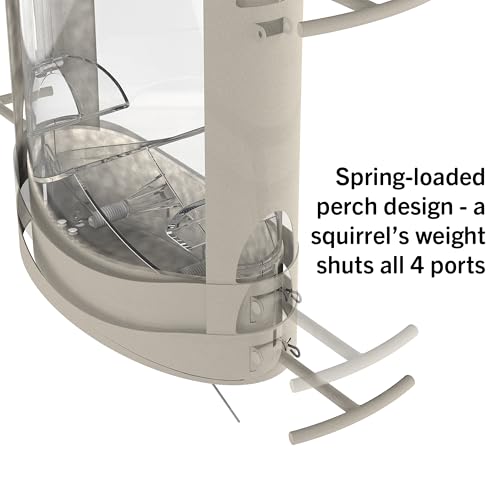 More Birds X-1 Squirrel-Proof Bird Feeder with 4.2-Pound Bird Seed Capacity and Four Feeding Ports - Image 3