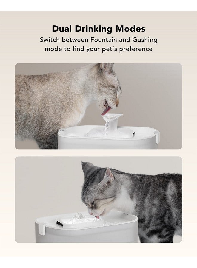 PETLIBRO Replacement Filters For Dockstream Cat Water Fountain Plwf005 Plwf115 Plwf105, 4 Months Set Of Replacement Filters For Ultra Quiet Pet Water Fountain,White 8 Count (Pack Of 1)  - Image 5