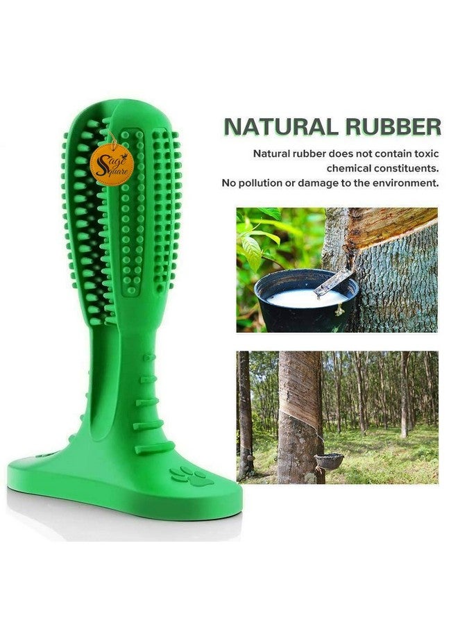 Sage Square Dog Toothbrush Stick-Dog Teeth Clean Tooth Brushing Stick For Dogs Oral Care Dental Care Natural Rubber Non-Toxic Dog Pet Chew Toys - Image 5