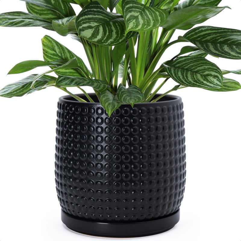 D'vine Dev 8 Inch Ceramic Beaded Stoneware Planter Pot - Flower Pot with Drainage Holes and Saucers for Indoor Succulent Plants or Flowers, Ebony Matte, 27-C-Q-6 - Image 1