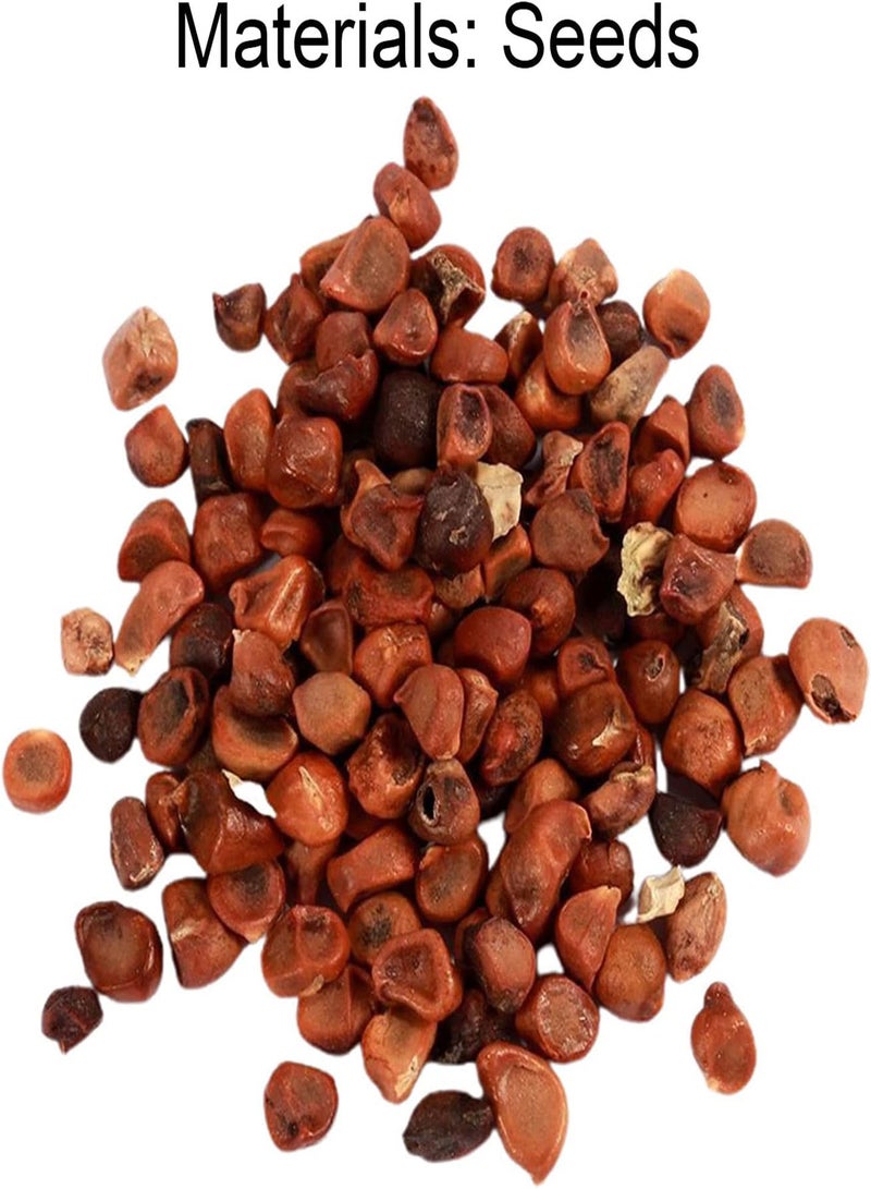 GGOOT 100Pcs/Bag Phalaenopsis Seeds, Orchid Flower Bonsai Plants Multi-Color Bloom Indoor Outdoor Garden Seedlings for Home White Pink - Image 2