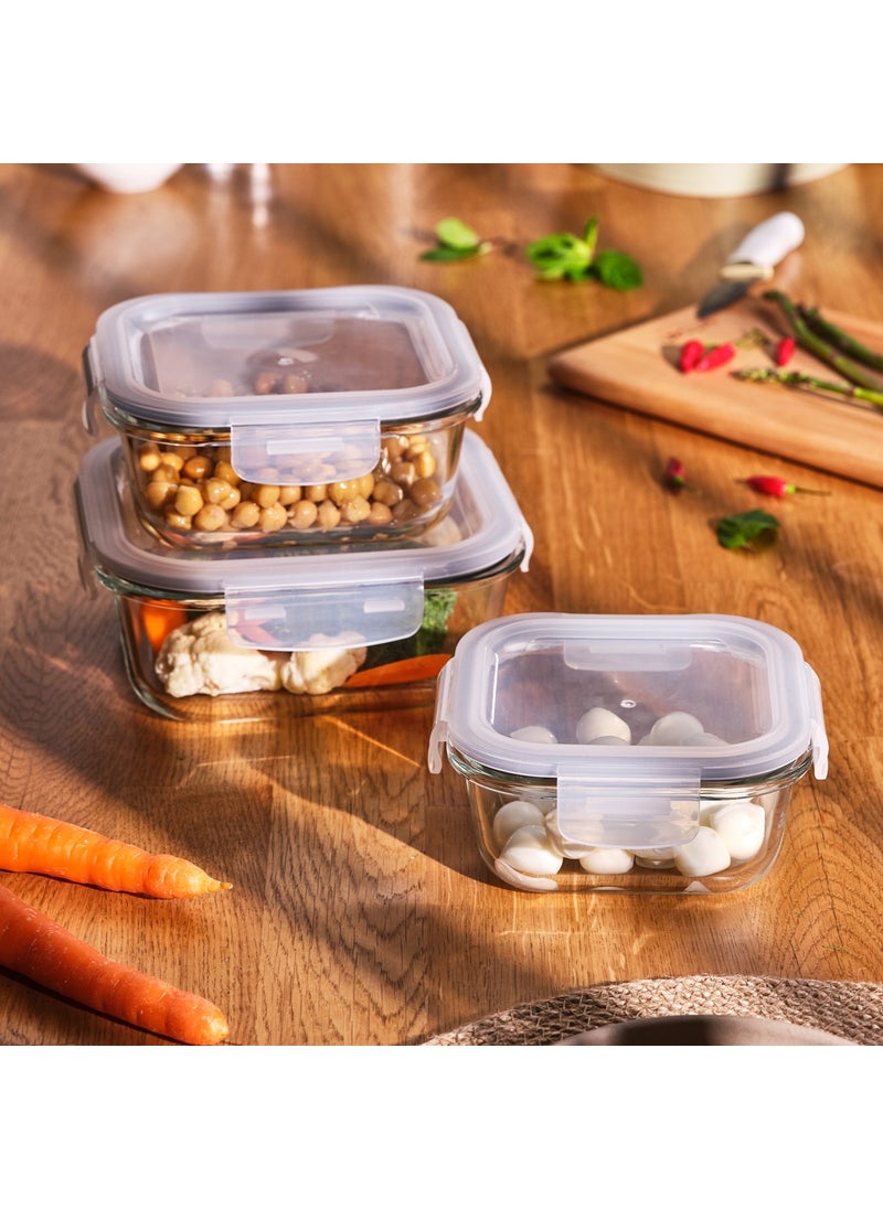 Luna 520 ml Borosilicate Storage Container