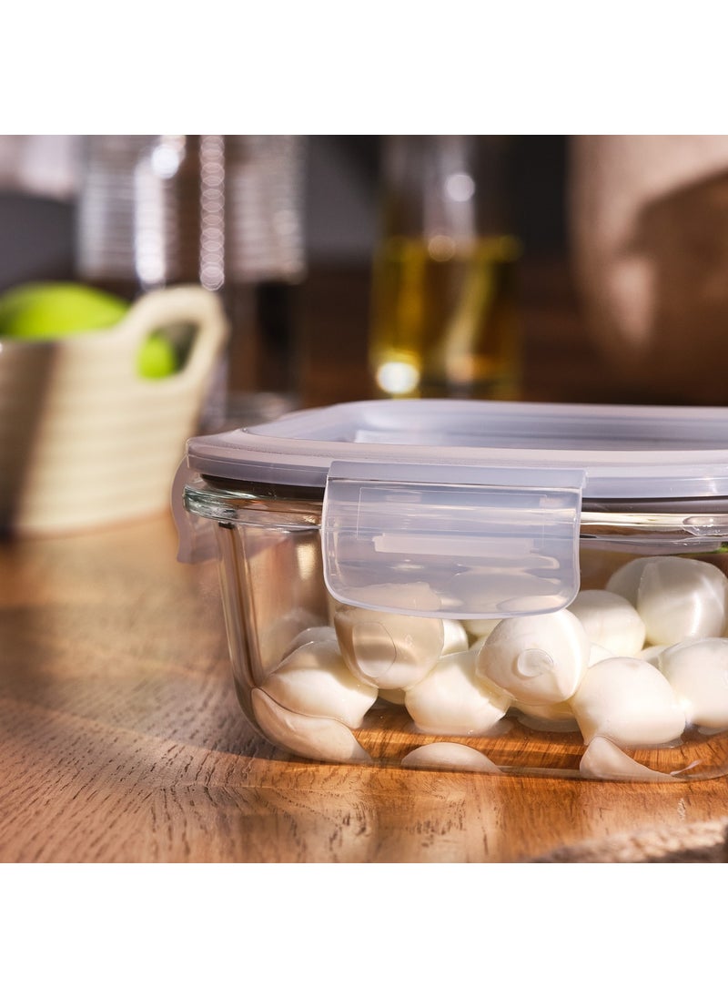 Luna 520 ml Borosilicate Storage Container