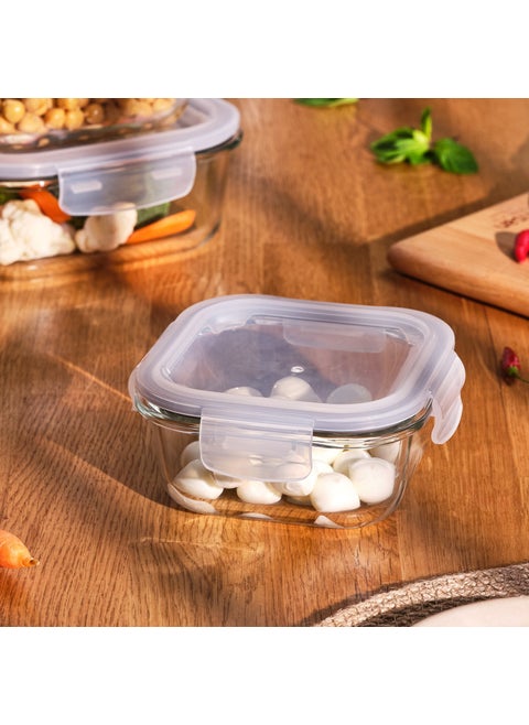 Luna 520 ml Borosilicate Storage Container