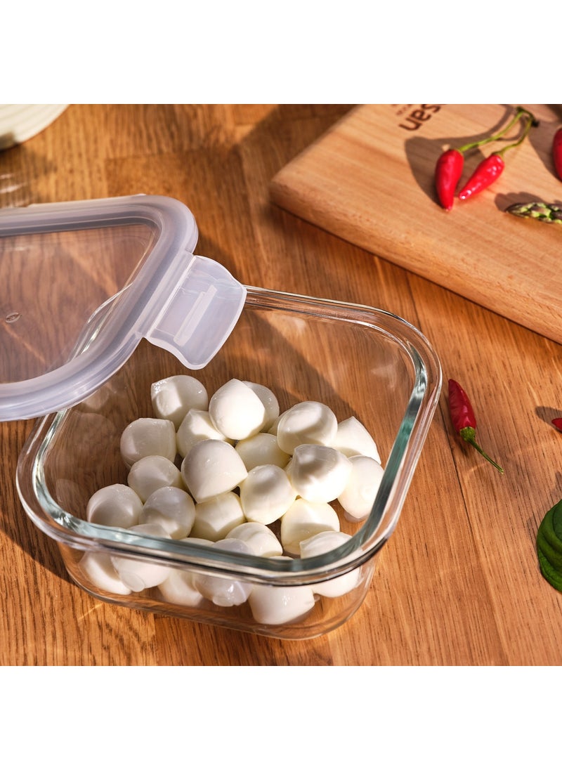 Luna 520 ml Borosilicate Storage Container