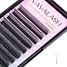 VAVALASH Wshaped Eyelash Extension 4D Premade Fans 007 D Curl Volume Lash Extensions Easy Fanning Lashes Matte Black Volume Premade W LashesW Shaped4D007D10mm - Image 2