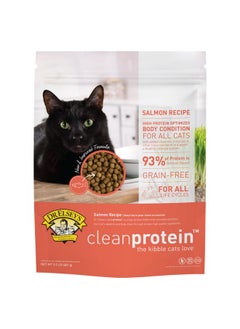 Dr. Elsey'S Cleanprotein Salmon Formula Dry Cat Food, 2 Pound (Pack of 1) - pzsku/Z3D79D645F3B47EDC90D5Z/45/_/1737031977/ebe4db22-99ed-4b33-8412-4eec6e327a0d