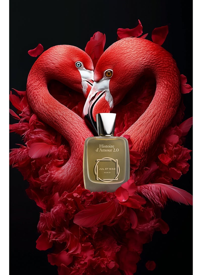 جو إيت ماد جول إيه ماد باريس – هيستوار د أمور عطر مركز 50 مل - Image 1