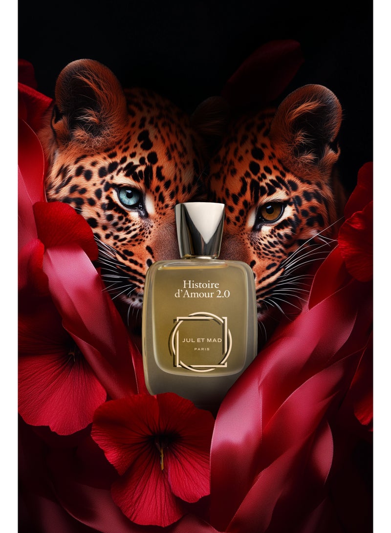 جو إيت ماد جول إيه ماد باريس – هيستوار د أمور عطر مركز 50 مل - Image 2