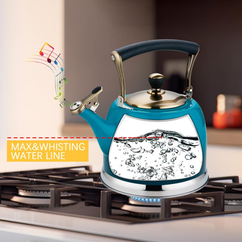 Lazneyru Tea Kettle Stainless Steel Teapot, Stainless Steel Teakettle for Stove Top with Heat Proof Ergonomic Handle 3.0 Quart - Image 3