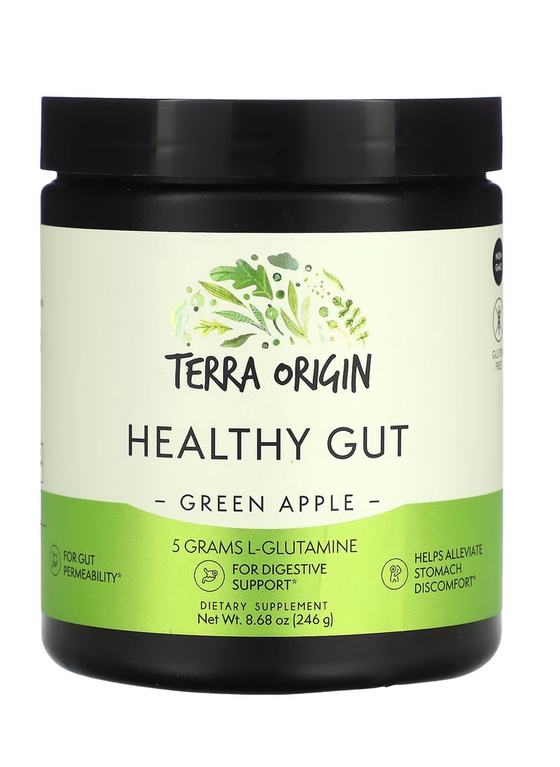 Terra Origin Healthy Gut, Green Apple, 8.68 oz (246 g)