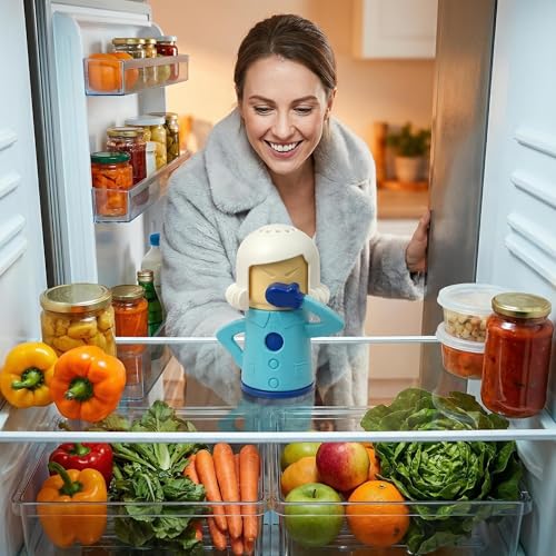 Aivwis Refillable Fridge Deodorizer Box, Cute Design. PP Plastic Odor Absorber for Baking Soda, Coffee Grounds, Deodorizing Beads. Compact Natural Deodorizer for Fridge & Freezer - Image 5