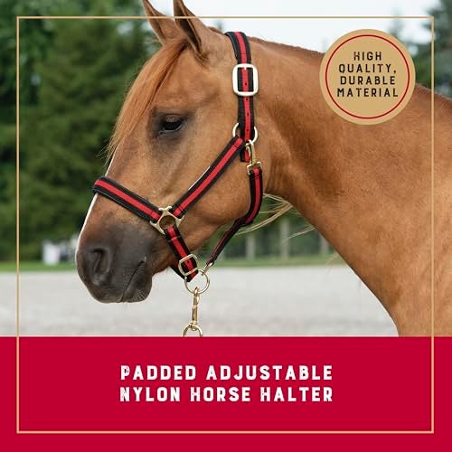 Weaver Equine Weaver Leather Nylon Horse Halter, Padded and Adjustable, Chin and Throat Snap Hook Halters for Horses, Brass Plated Halters for Training - Image 2