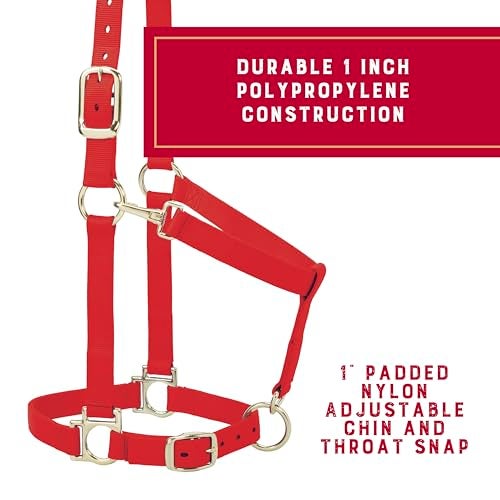 Weaver Equine Weaver Leather Nylon Horse Halter, Padded and Adjustable, Chin and Throat Snap Hook Halters for Horses, Brass Plated Halters for Training - Image 3