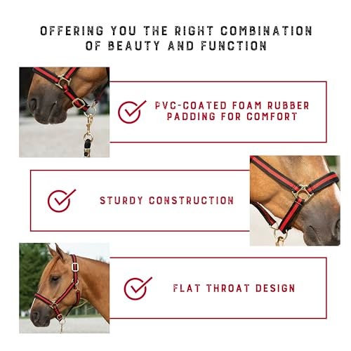 Weaver Equine Weaver Leather Nylon Horse Halter, Padded and Adjustable, Chin and Throat Snap Hook Halters for Horses, Brass Plated Halters for Training - Image 5