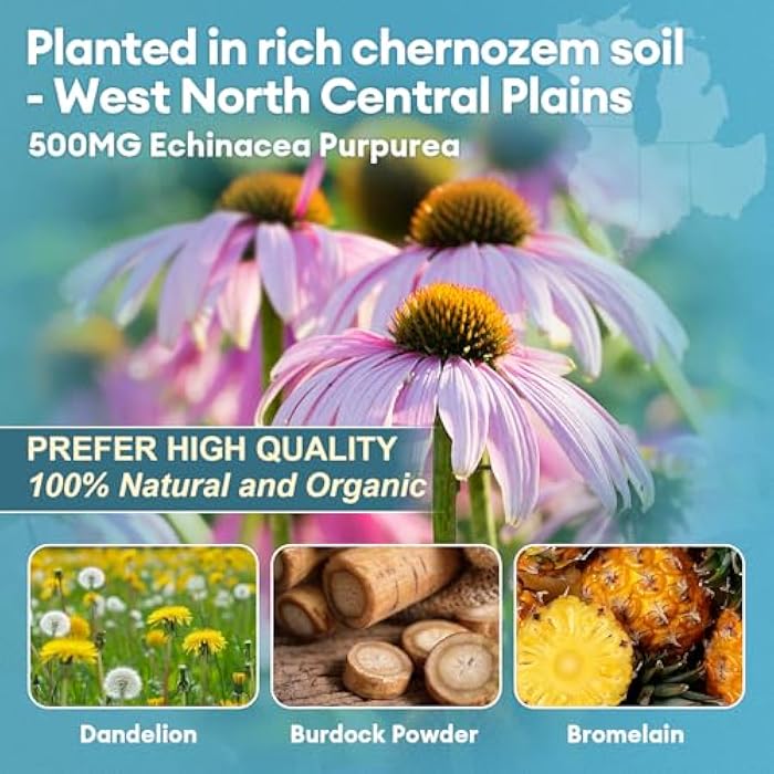 Totaria Lymphatic Drainage - Reduce Lymph Swelling with Echinacea, Dandelion, Burdock, Bromelain, Vitamin C, Zinc, Selenium, Proprietary Herbal Blend, Lymph MD System Support, 120 Counts - Image 5