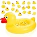 WinnerWhy Duck Matching Game Includes Inflatable Pool Pond and 20 Numbered Floating Rubber Ducks for Festival Carnival Water Outdoor Game Pump Not Included - Image 2