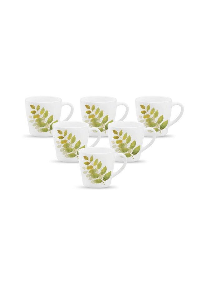 La Opala La Opala Diva, Opal Glass Crockery | Cup Gloria, Set of 6 | Autumn Shadow, 160 ml | for Tea & Coffee | Microwave Safe | 100% Vegetarian | Toughened Extra Strong | Super Light | Super White  - Image 1