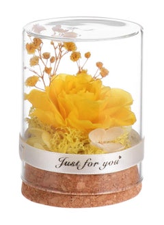 SYOSI Preserved Flower In Glass Dome Everlasting Forever Handmade Rose Galaxy Flower Artificial Flower Natural Eternal Never Withered Flowers Valentine's Day, Mother's Day, Anniversary, Birthday, Yellow  - Image 1
