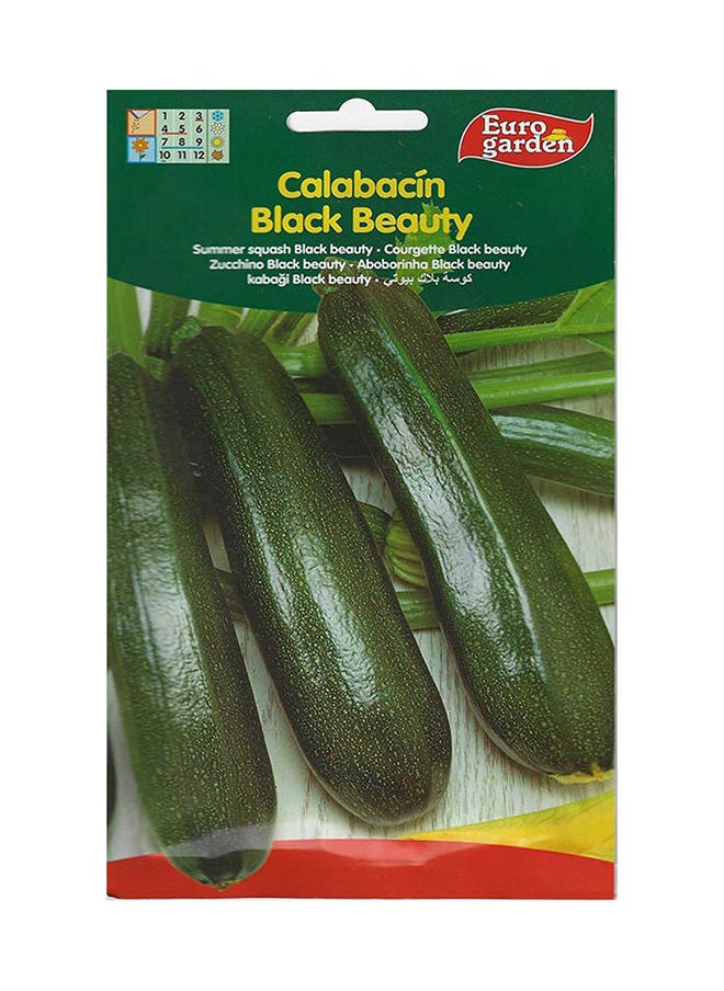 Euro Garden Summer Squash - pzsku/Z3D8A36F252B5E3A8824AZ/45/_/1667204932/213a21c0-b71f-42c6-ba8f-4649352b23a8