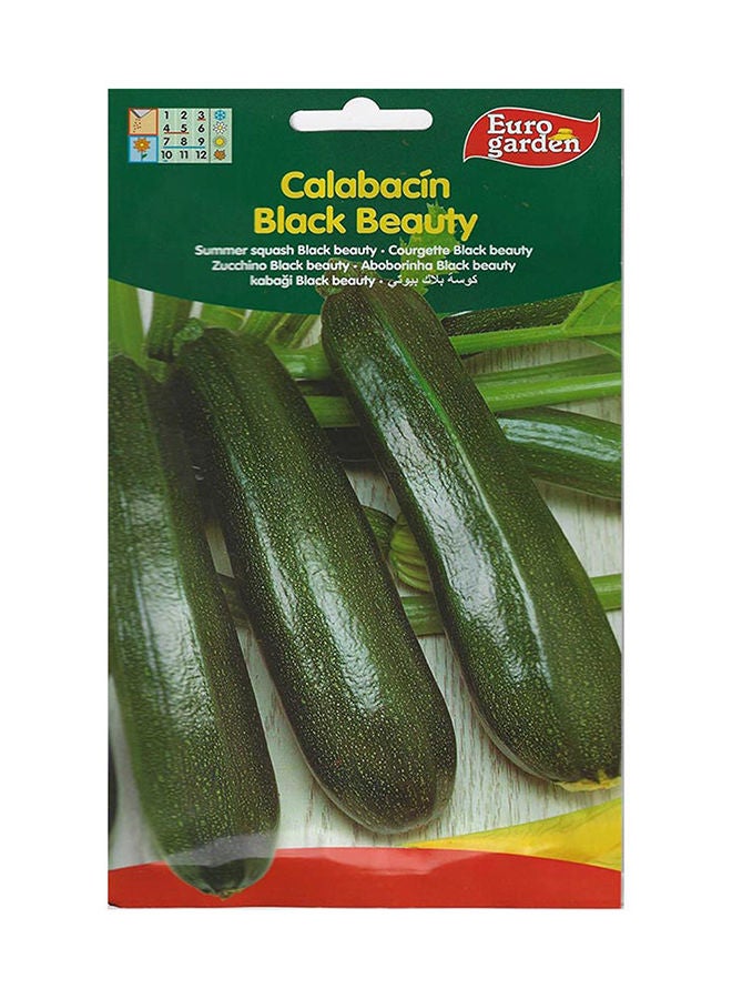Euro Garden Euro Garden Summer Squash  - Image 2