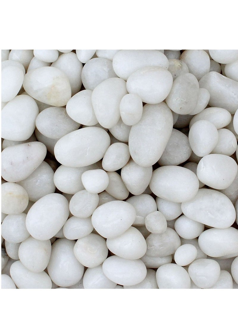 Aquarium Pebbles Natural Gravel Stones For Fish Tank White - Image 1