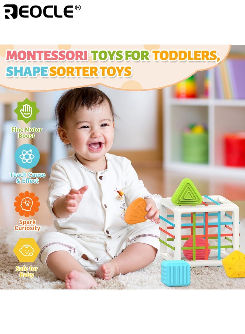 ريوكل لعبة قوس قزح الحسية للأطفال وتدريب المهارات الحركية الدقيقة، لعبة الإمساك من مونتيسوري للتعليم المبكر للأطفال الرضع والأطفال الصغار - Image 2