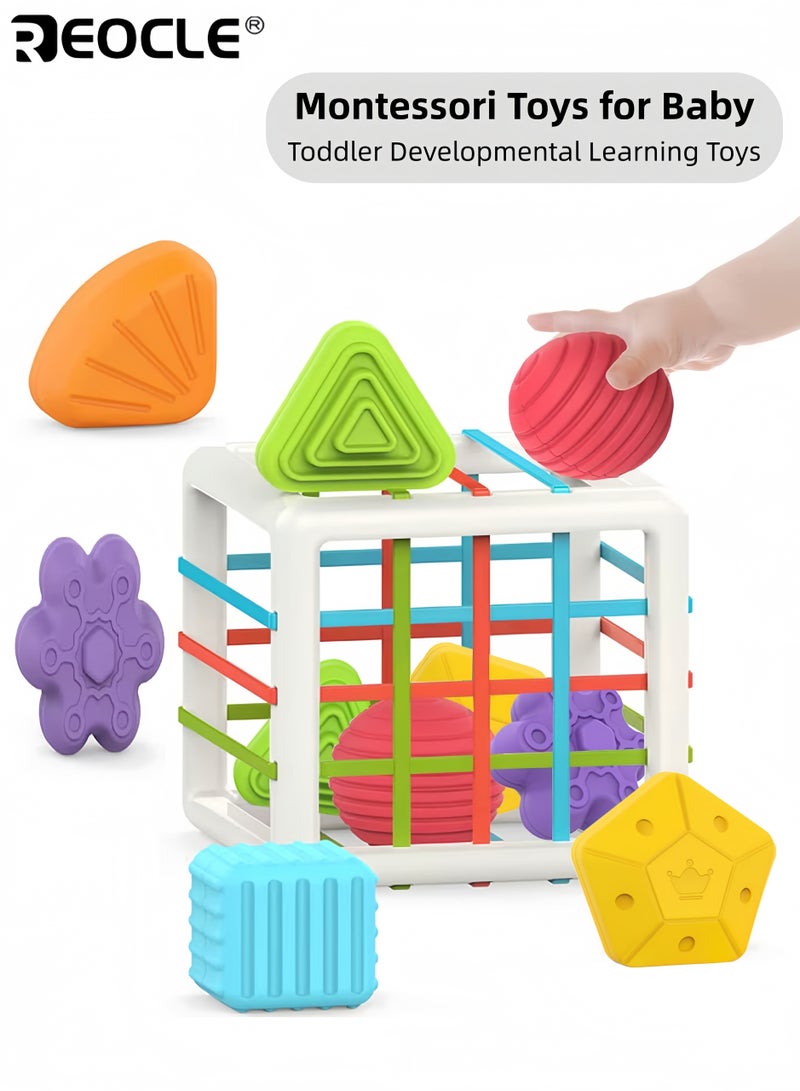 ريوكل لعبة قوس قزح الحسية للأطفال وتدريب المهارات الحركية الدقيقة، لعبة الإمساك من مونتيسوري للتعليم المبكر للأطفال الرضع والأطفال الصغار - Image 1