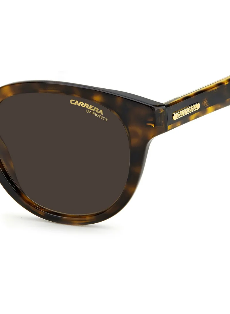 Carrera Wayfarers Sunglasses
