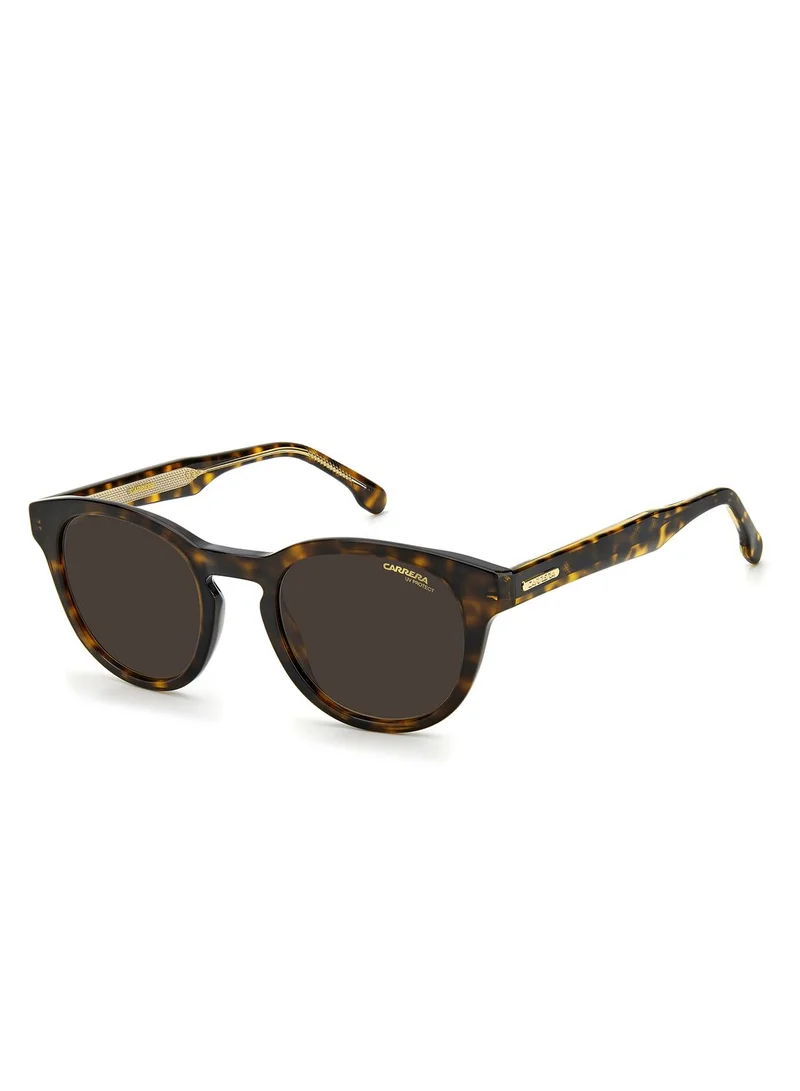 Carrera Wayfarers Sunglasses