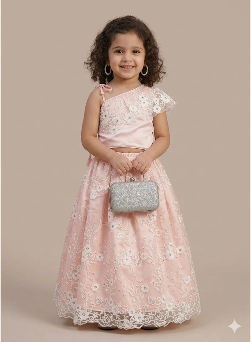 Saka Designs Peach Embroidered Lehenga & Choli for Girls