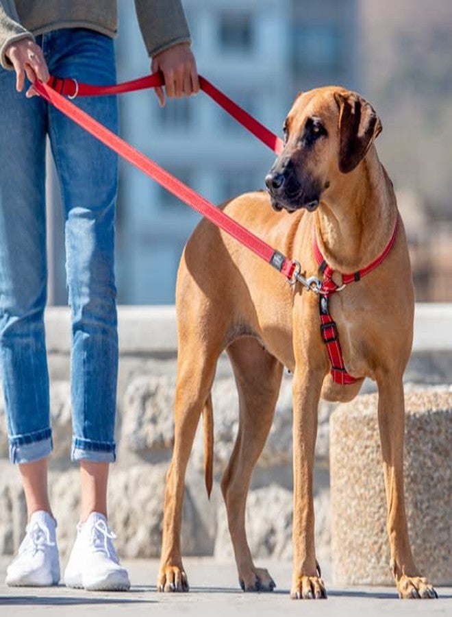 Rogz Multi Purpose Leash X-Large - Chocolate Brown - Image 2