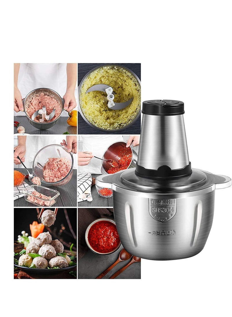 Food Chopper, Electric Meat Chopper with Powerful Motor, 3.8L Stainless Steel Bowl, 2 Speed Levels, Safety Function, 300W Multi Chopper for Meat, Fruits, Baby Food, Vegetables,Onion - Image 1