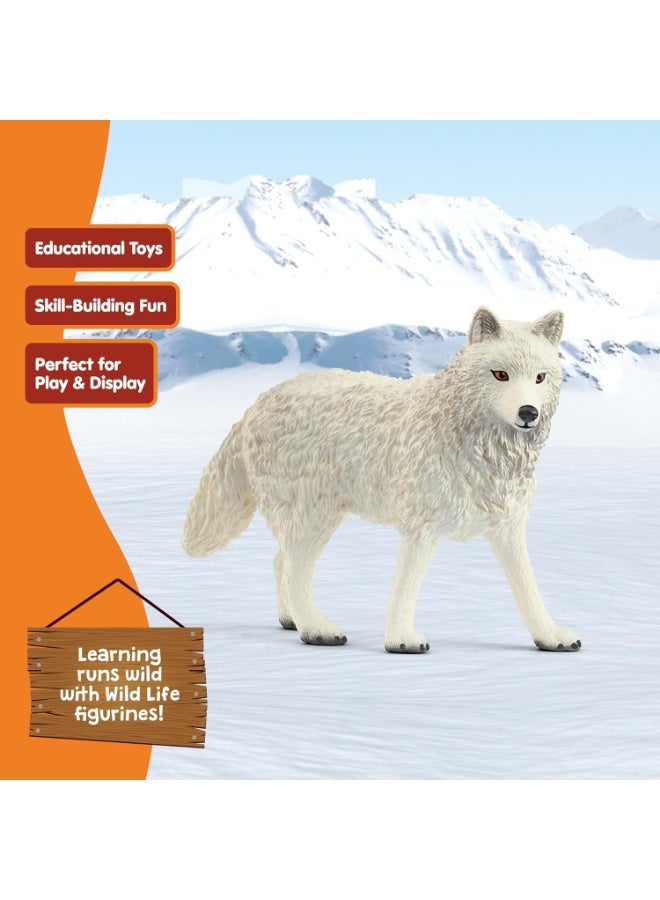 schleich 14880 Arctic Wolf, from 3 years WILD LIFE - Figurine, 3 x 8 x 6 cm - Image 2
