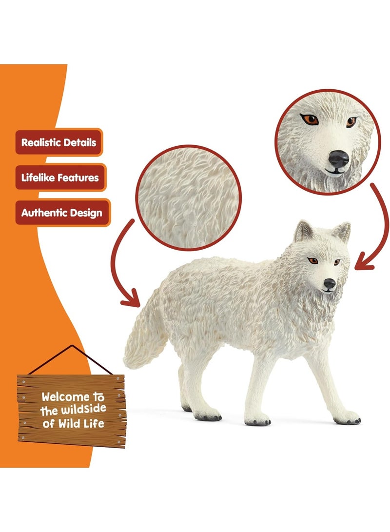 schleich 14880 Arctic Wolf, from 3 years WILD LIFE - Figurine, 3 x 8 x 6 cm - Image 4