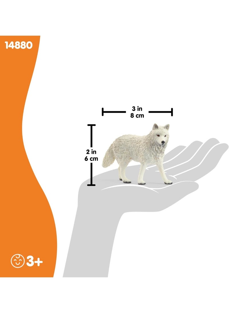 schleich 14880 Arctic Wolf, from 3 years WILD LIFE - Figurine, 3 x 8 x 6 cm - Image 3