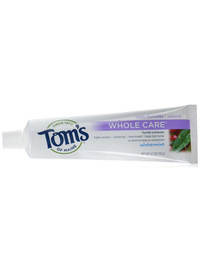 تومز أوف ماين معجون أسنان طبيعي للعناية الكاملة، بنكهة النعناع الشتوي، 4.7 أونصة - Image 1