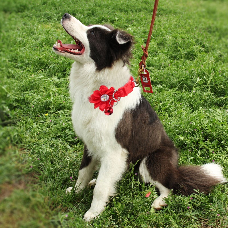 4Pcs Lovely Pet Collar Adjustable Flower Collar with Metal Buckle Puppy Neck Decors - Image 4