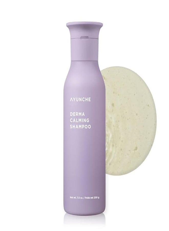 AYUNCHE Derma Calming Shampoo 7.1oz [For Dry & Sensitive Scalp] | Gentle Hydrating Scalp Care | Strengthen Scalp Barrier | Vegan Shampoo | Korean Salon Brand - Image 1