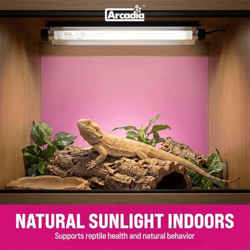 Arcadia T5 UVB Reptile Light Fixture Kit 12" Long 8 Watts 7% UVB ShadeDweller – Complete UVB Light for Reptiles, Turtles, Snake, Bearded Dragon Lamp, Long Lasting Easy to Use Professional Lighting - Image 2