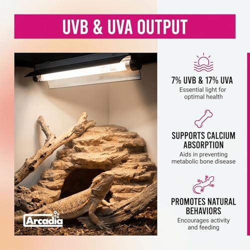 Arcadia T5 UVB Reptile Light Fixture Kit 12" Long 8 Watts 7% UVB ShadeDweller – Complete UVB Light for Reptiles, Turtles, Snake, Bearded Dragon Lamp, Long Lasting Easy to Use Professional Lighting - Image 5