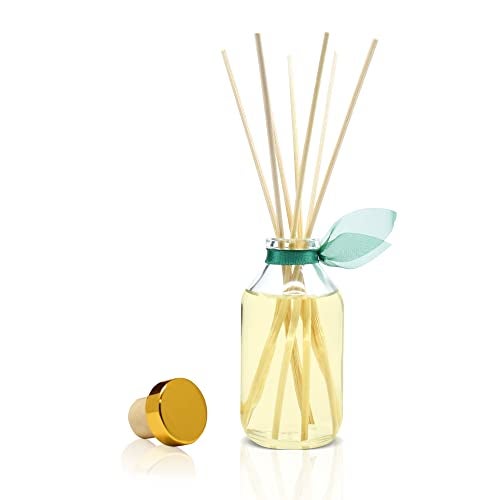 LOVSPA Reed Diffuser Set, Birchwood Pine Scented Oil Diffuser with Sticks, Home Fragrance Accessories for Bathroom Shelf Decor, Aroma Diffusers for Home or Office Desk, USA Made - Image 3