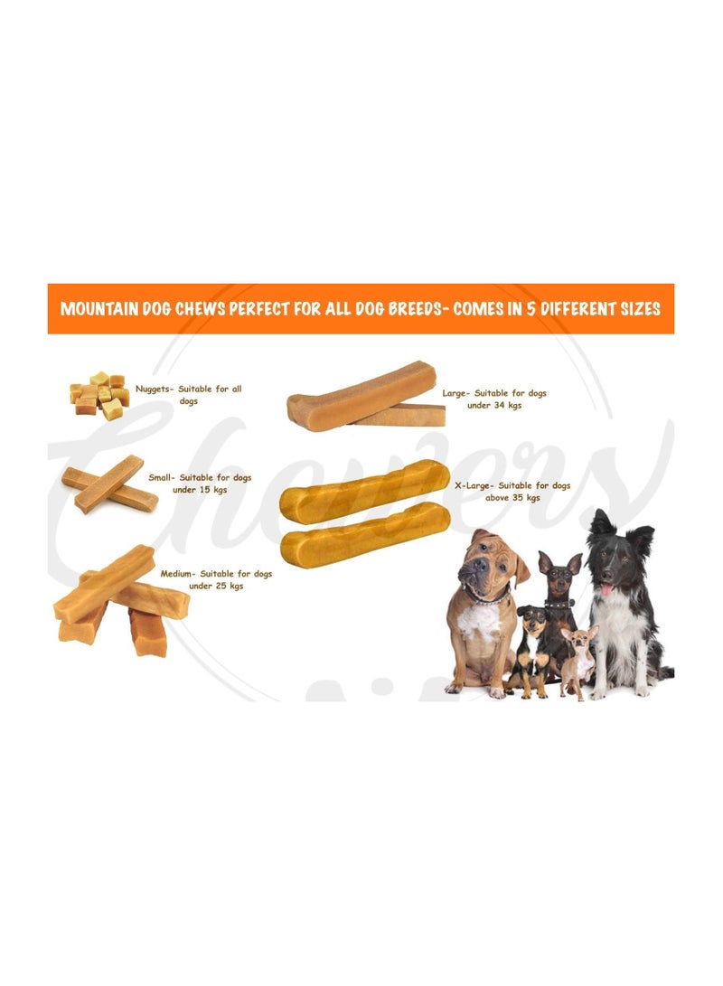 chewers Mountain Dog Chew, 100% Natural Himalayan Yak Milk Dental Bar, Protein & Calcium Rich Treat for Medium Dogs, 200 GMS - Image 5