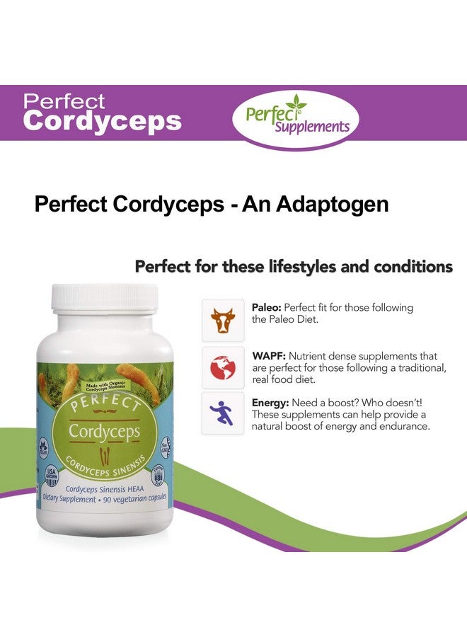 Perfect Supplements Perfect Cordyceps 90 Vegetable Capsules Organic Adaptogenic Herbal Supplement Increases Energy Endurance & Strength - Image 4